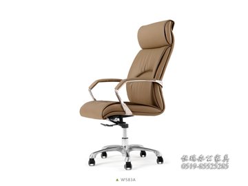 W583A