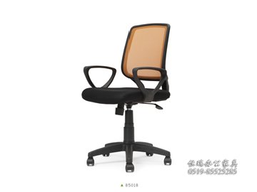 B501B尼